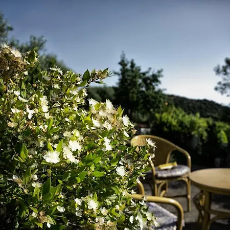 Hébergement de vacances Il Melograno Country House Posada (Sardinia)
