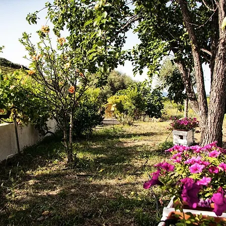Hébergement de vacances Il Melograno Country House Posada (Sardinia)